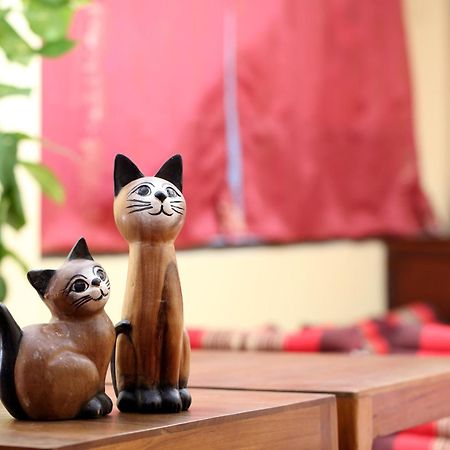 Thai Cat Hostel Bangkok Exteriör bild
