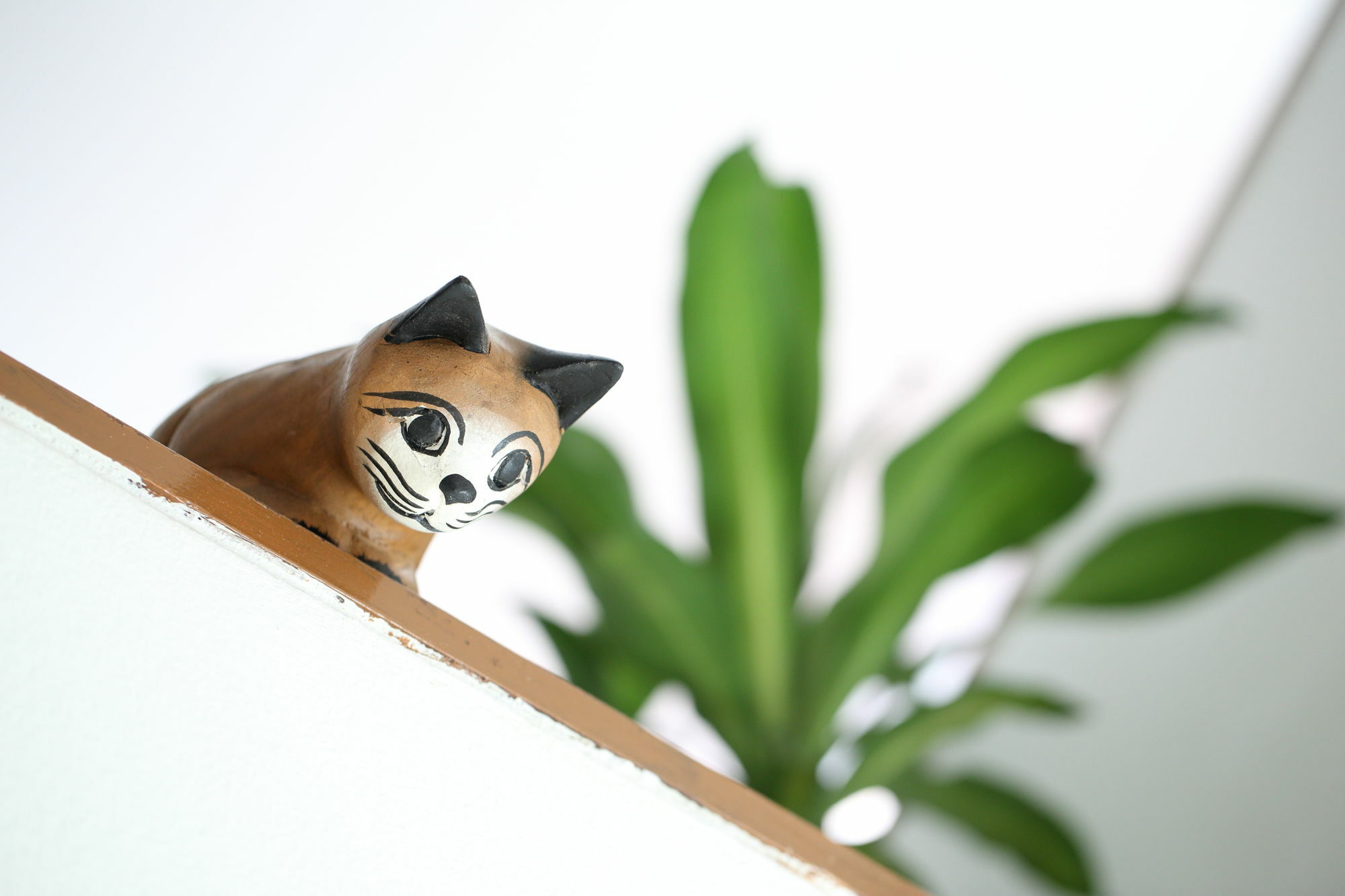 Thai Cat Hostel Bangkok Exteriör bild