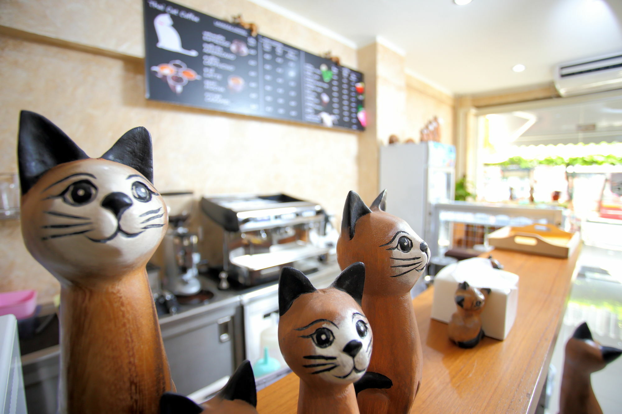 Thai Cat Hostel Bangkok Exteriör bild